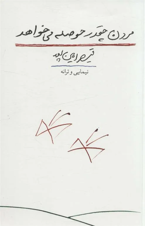 کتاب مردن چقدر حوصله می خواهد