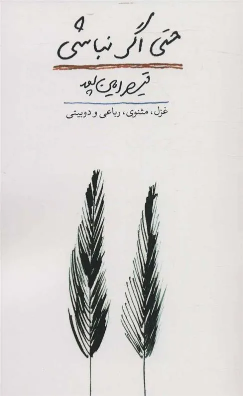 کتاب حتی اگر نباشی