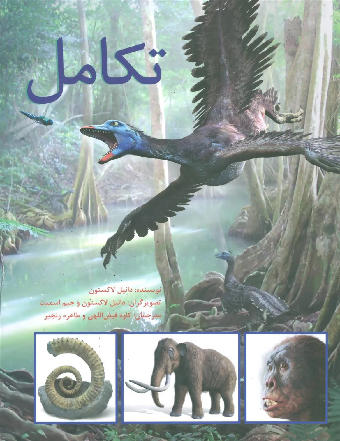 تکامل