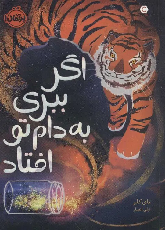 کتاب اگر ببری به دام تو افتاد