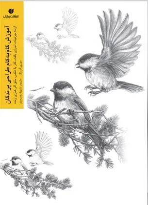 کتاب آموزش گام به گام طراحی پرندگان