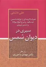 کتاب سیری در دیوان شمس