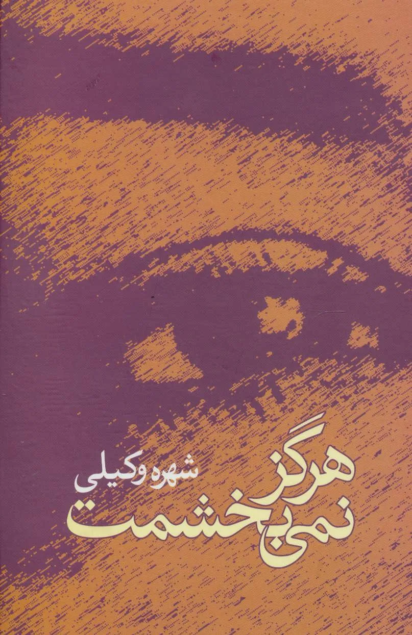 کتاب هرگز نمی بخشمت