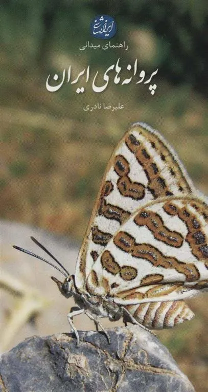 کتاب پروانه های ایران