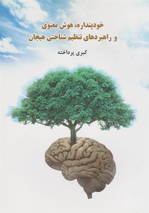 کتاب خودپنداره، هوش معنوی و راهبردهای تنظیم شناختی هیجانی