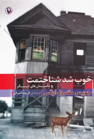 کتاب خوب شد شناختمت و داستان های دیگر