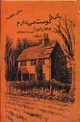 کتاب یکی را دوست می دارم (دو جلدی)