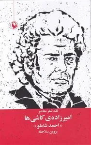 امیرزاده ی کاشی ها