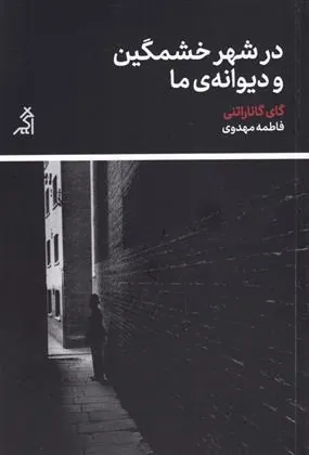 کتاب در شهر خشمگین و دیوانه ی ما