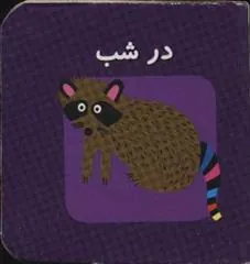 کتاب در شب