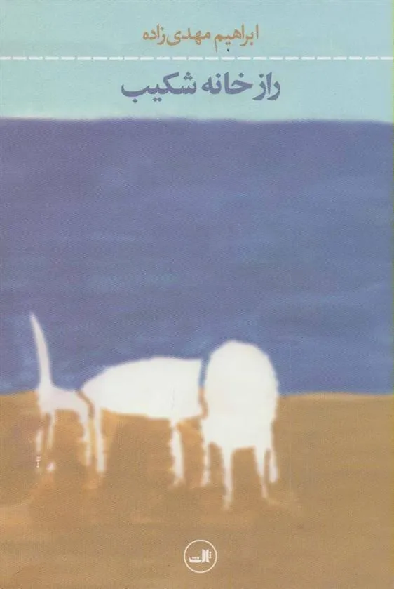 کتاب راز خانه شکیب