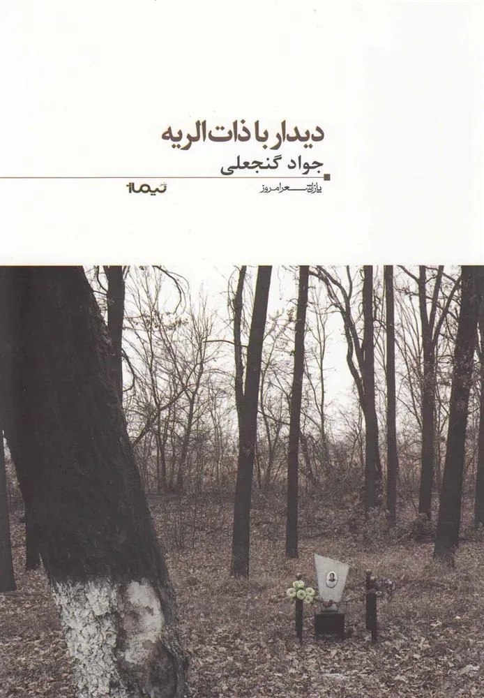 کتاب دیدار با ذات الریه