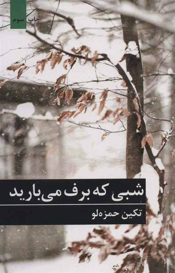 کتاب شبی که برف می بارید