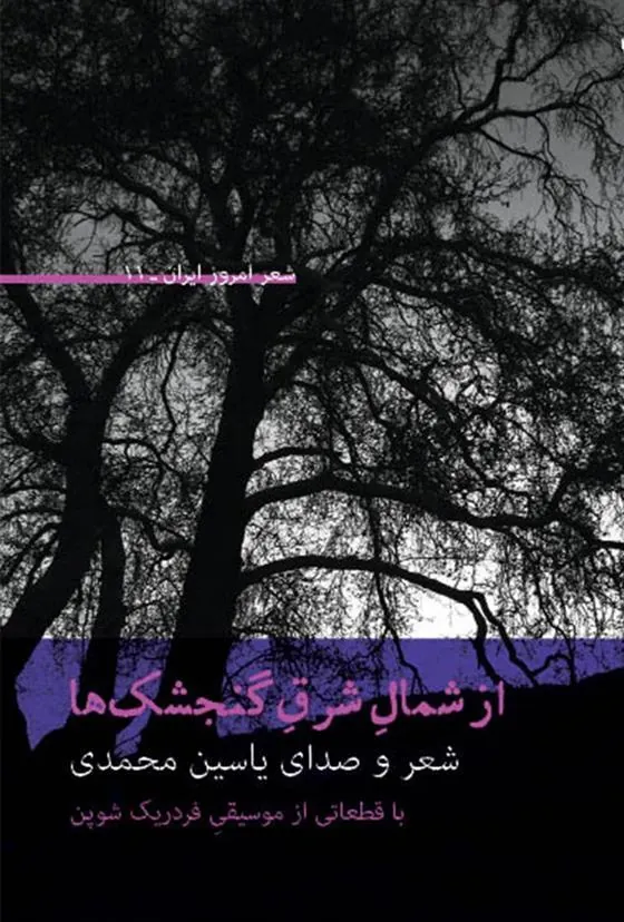 کتاب از شمال شرق گنجشک ها