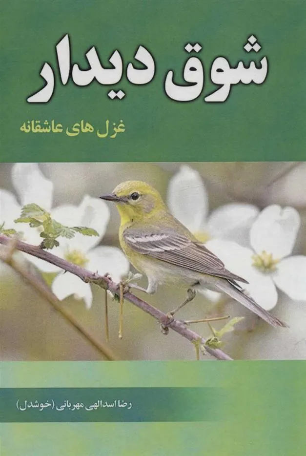 کتاب شوق دیدار