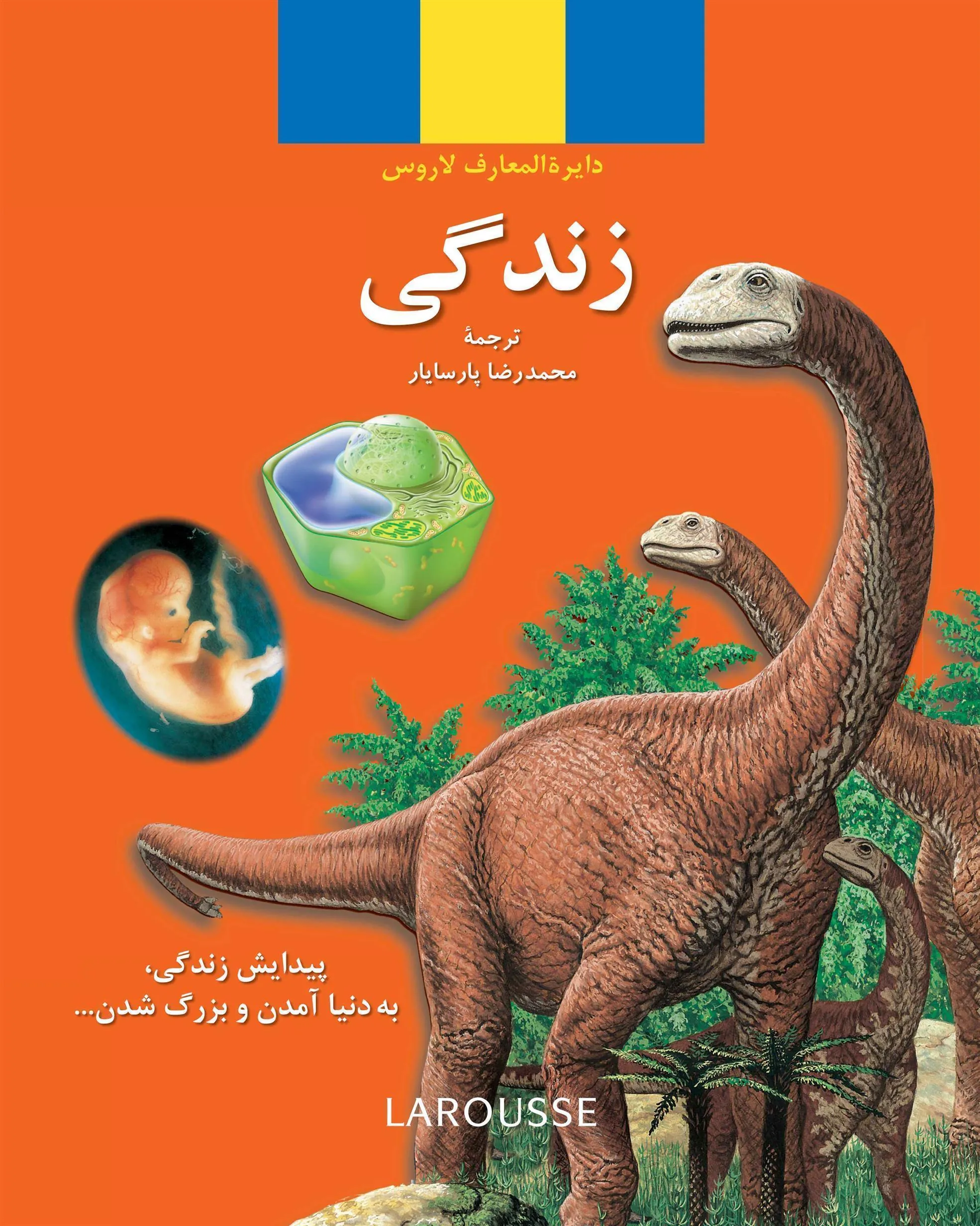 زندگی