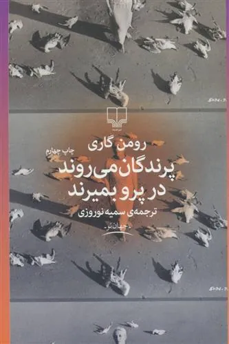 پرندگان می روند در پرو بمیرند