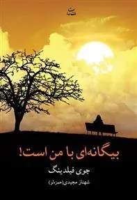 کتاب بیگانه ای با من است!
