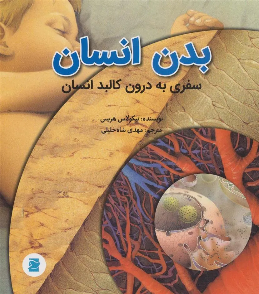 بدن انسان