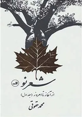 کتاب شعر نو از آغاز تا امروز