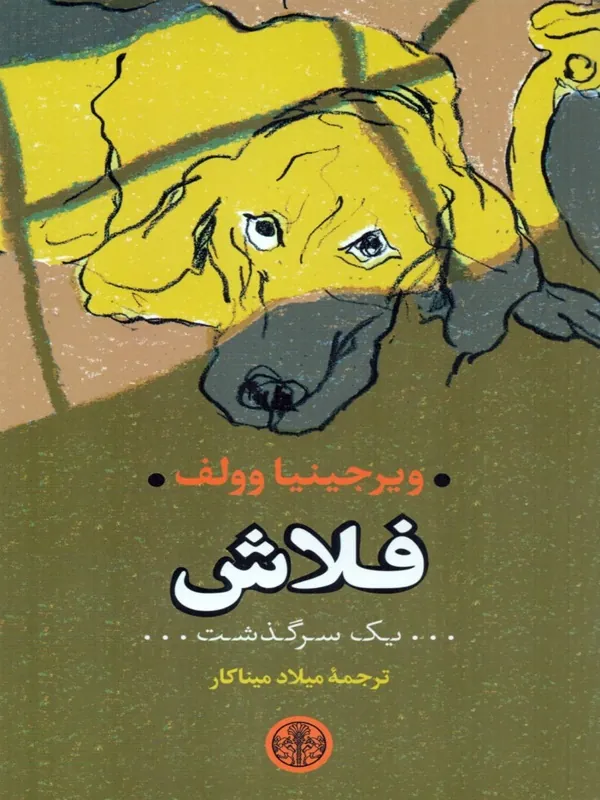 کتاب فلاش