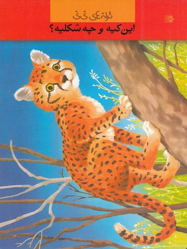این کیه و چه شکلیه