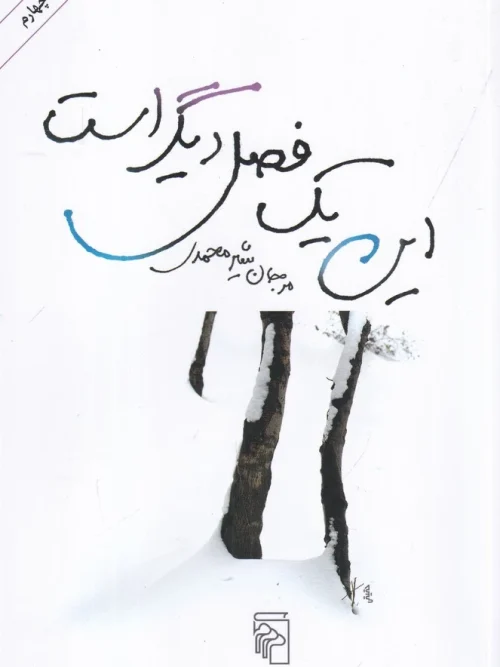 کتاب این یک فصل دیگر است