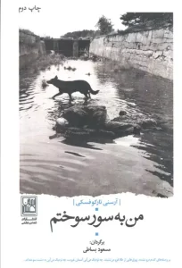 کتاب من به سور سوختم