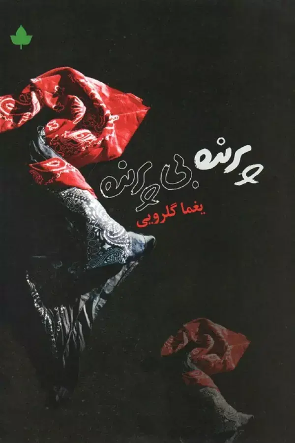 کتاب پرنده بی پرنده