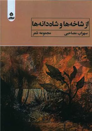 از شاخه ها و شاه دانه ها