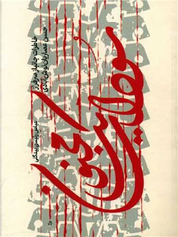 سودای یک مجنون