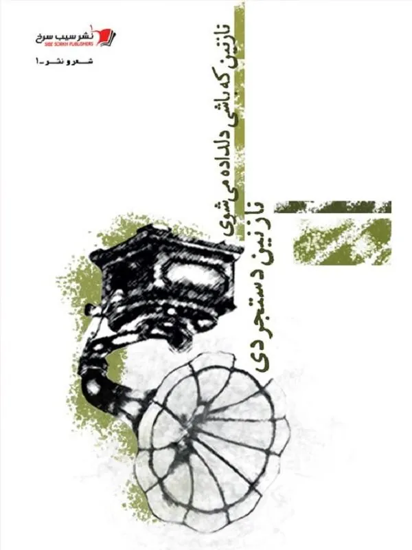 نازنین که باشی دلداده می‌شوی