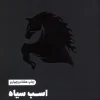 Black horse کتاب اسب سیاه