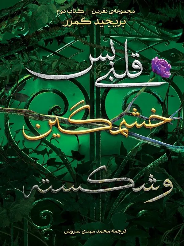 قلبی بس خشمگین و شکسته