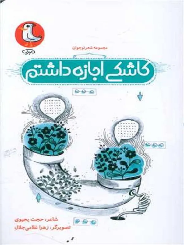 کاشکی اجازه داشتم