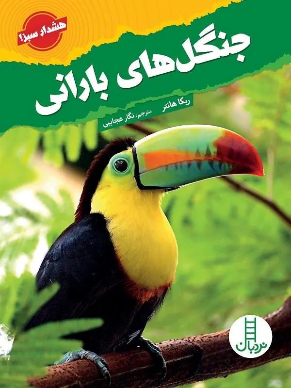 جنگل‌ های بارانی