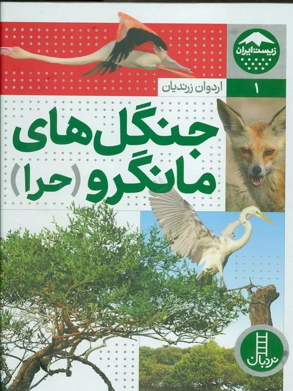 جنگل های مانگرو