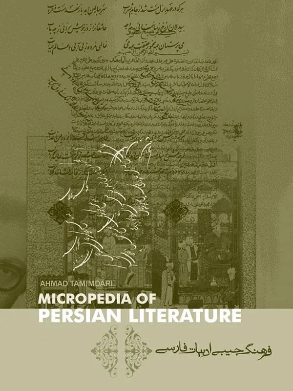 فرهنگ جیبی ادبیات فارسی