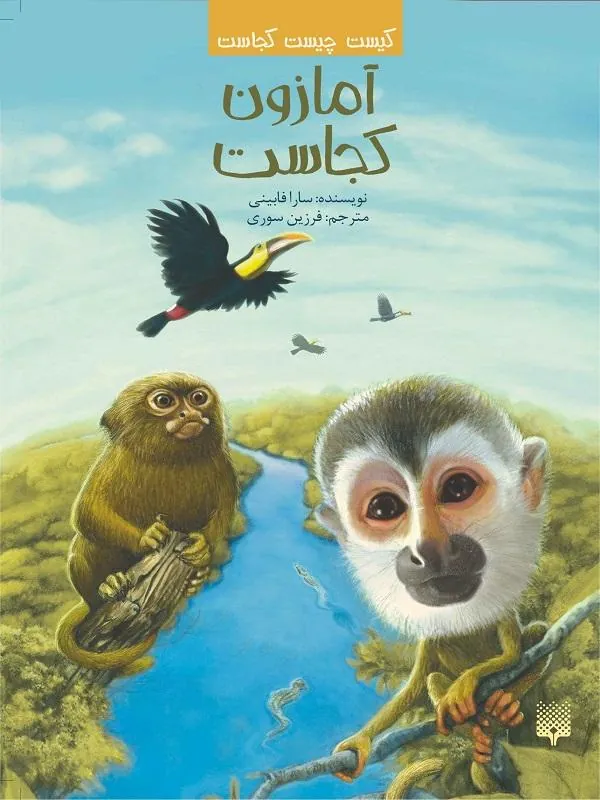 آمازون کجاست