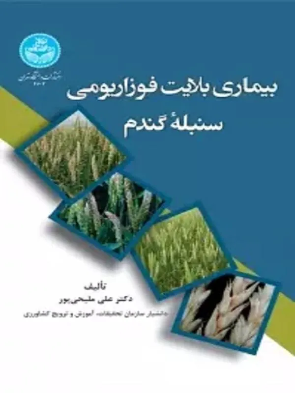 بیماری بلایت فوزاریومی سنبله گندم