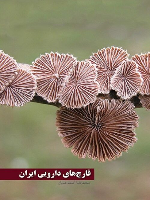 قارچ‌های دارویی ایران