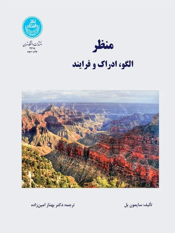 منظر الگو، ادراک و فرآیند