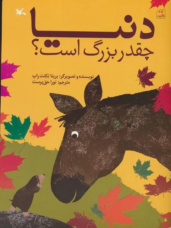 دنیا چقدر بزرگ است