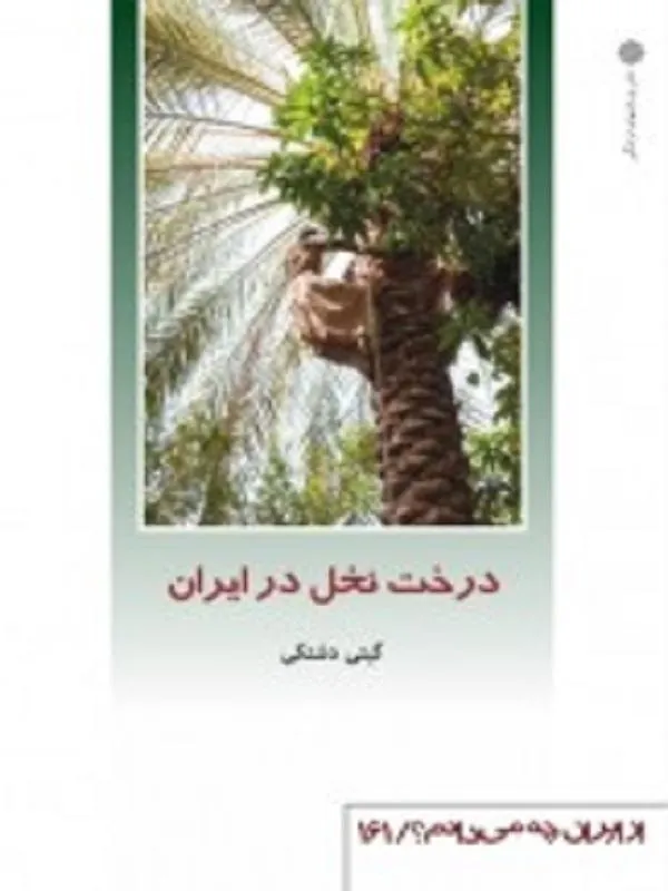 درخت نخل در ایران
