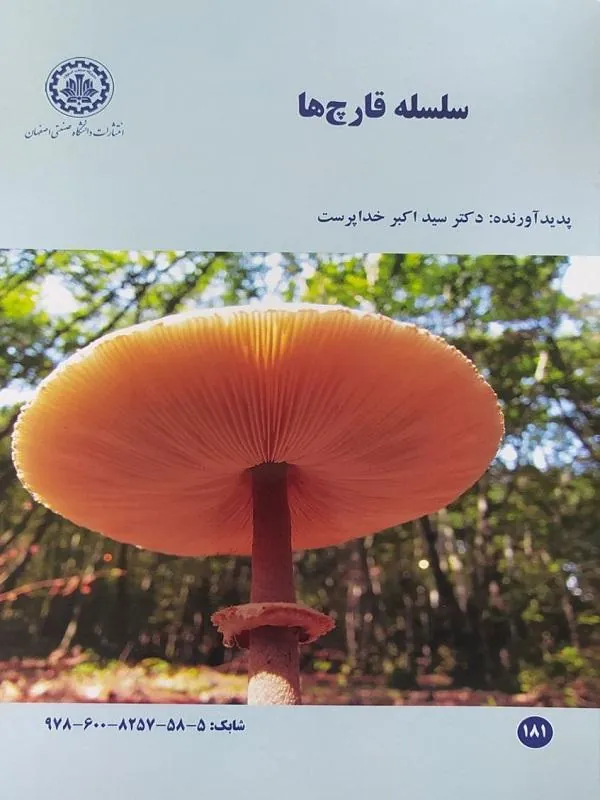 سلسله قارچ‌ ها