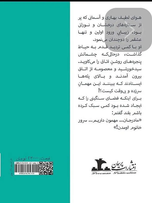 کتاب پسر مش ابراهیم پسر مش ابراهیم