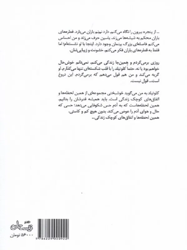 کتاب سنگ‌هایی در جیبم - تصویر 2