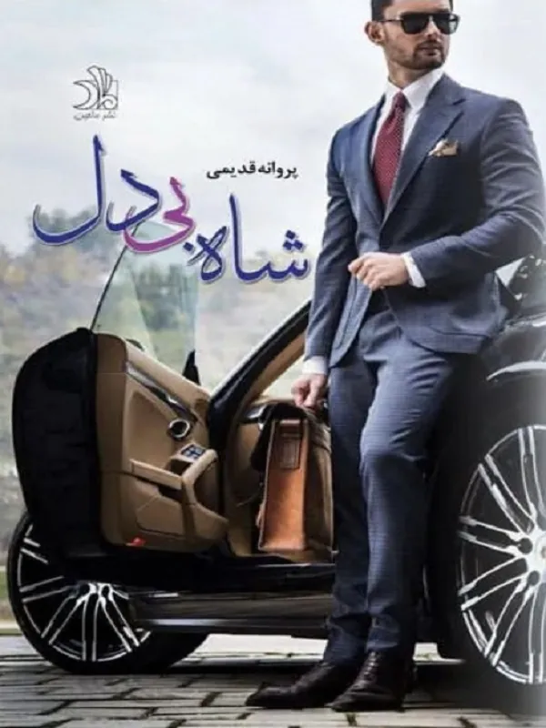 کتاب شاه بی دل