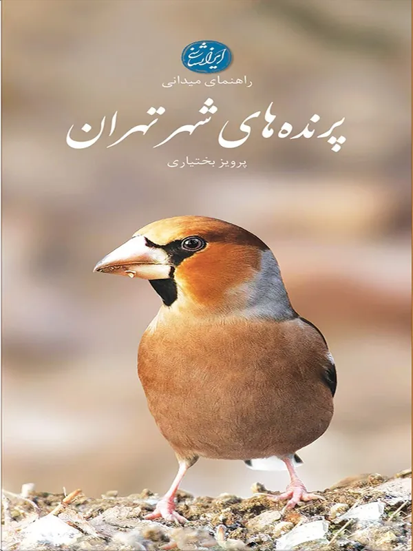 کتاب پرنده های شهر تهران