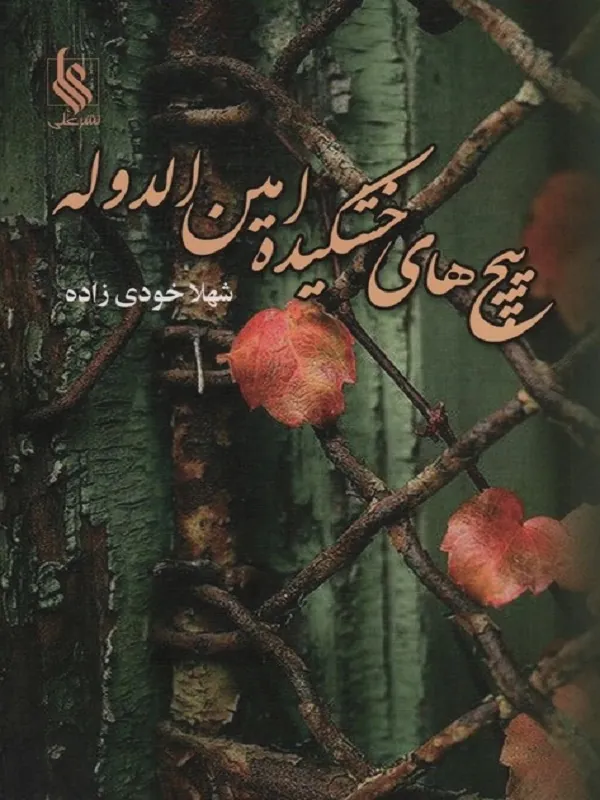 کتاب پیچ های خشکیده امین الدوله
